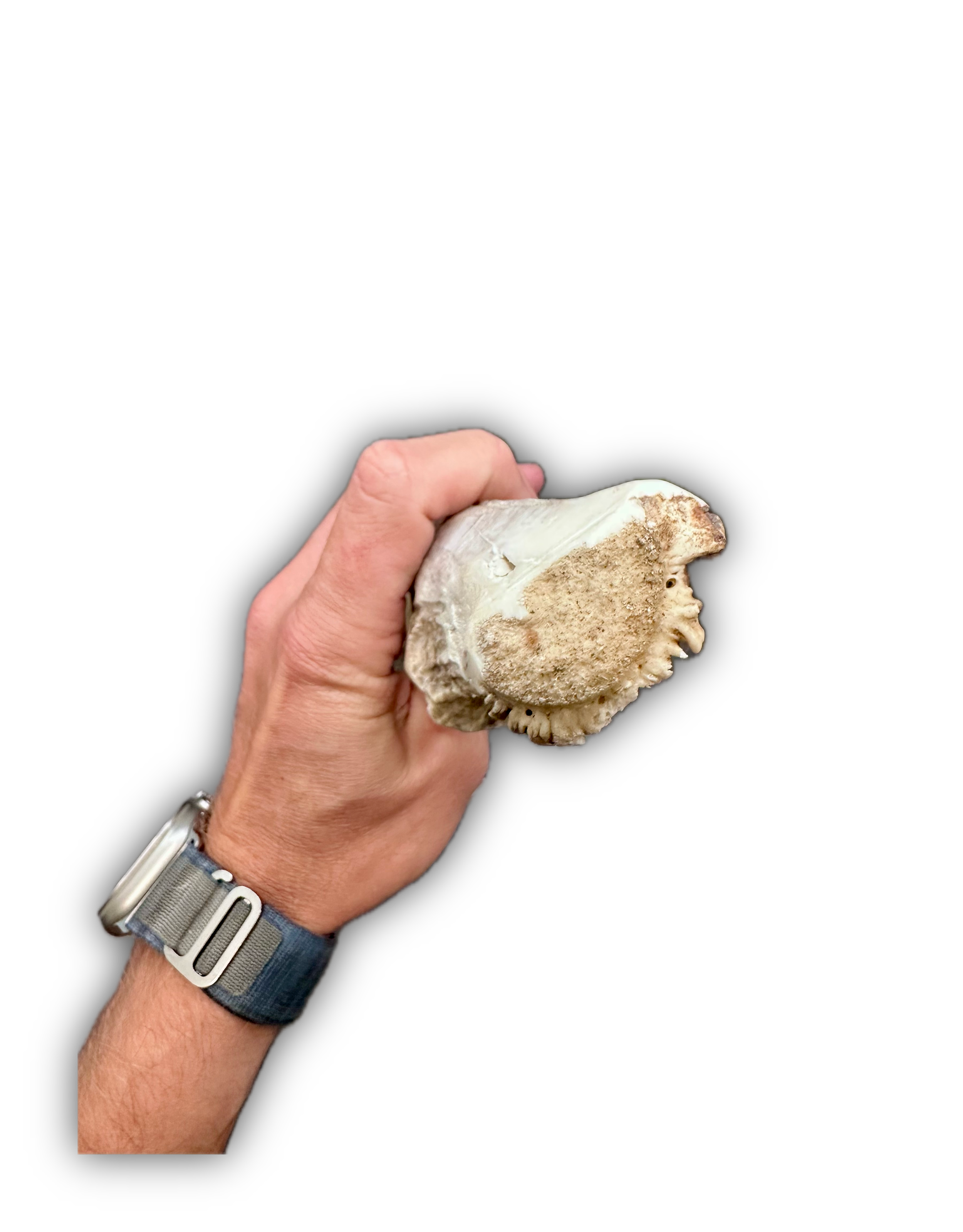 IMG_7001 Background Removed-shadow.png
