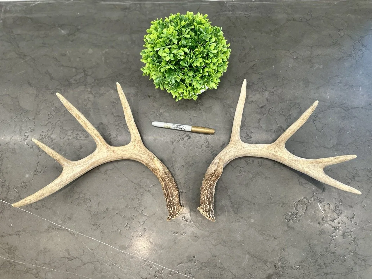 IMG_4354 2 Large.jpeg