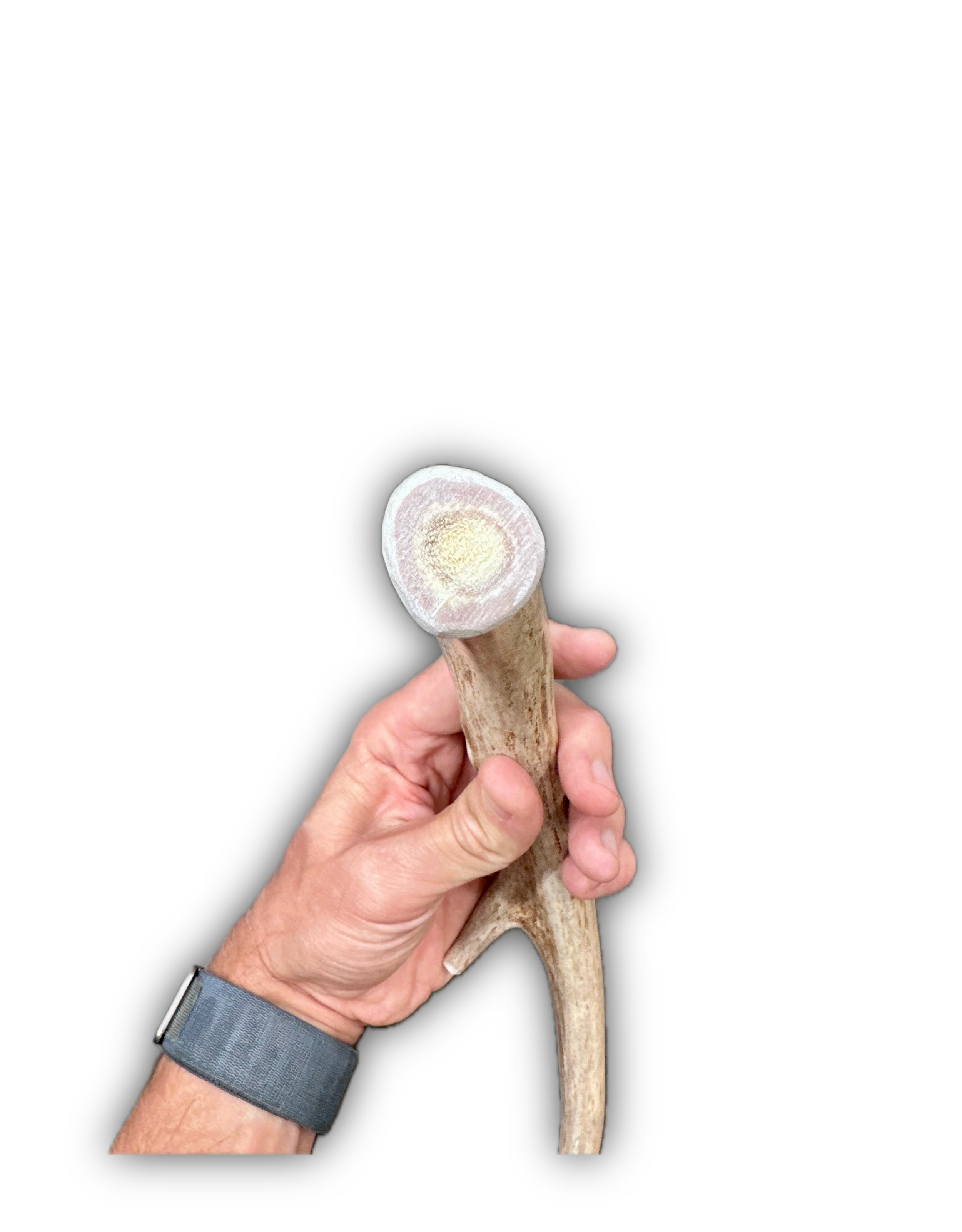 IMG_7040 Background Removed-shadow.png