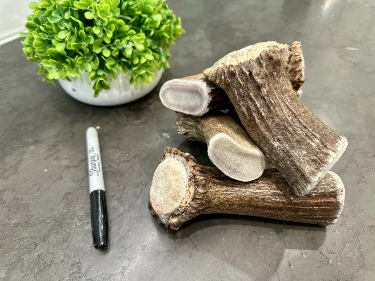 Moose Antler Base