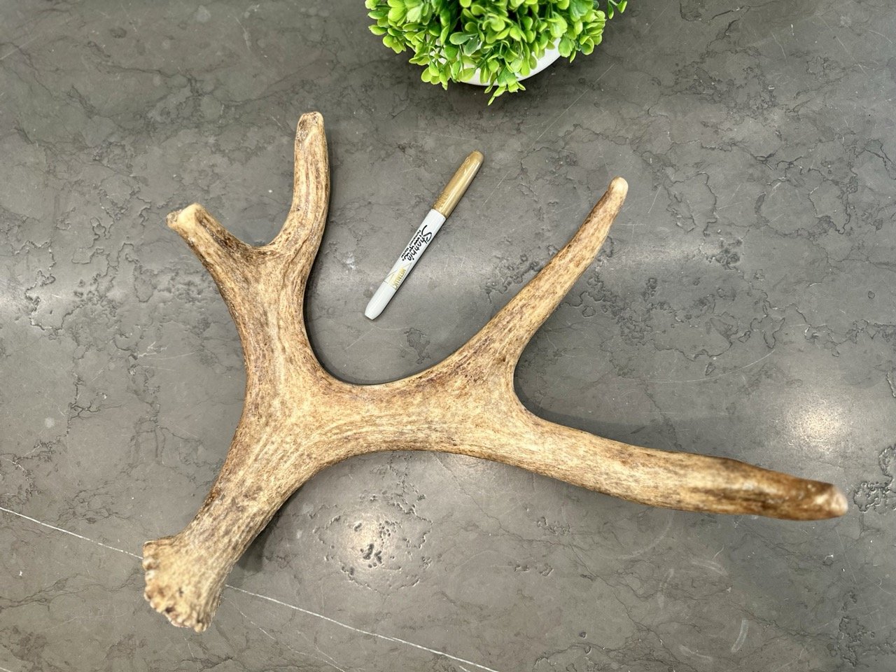 IMG_4417 2 Large.jpeg