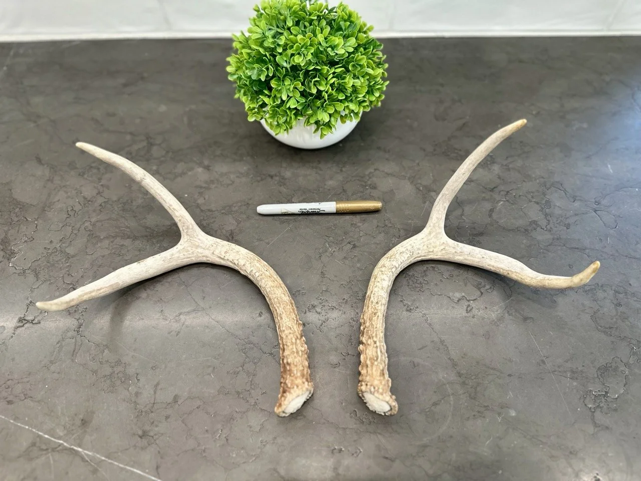 IMG_4399 2 Large.jpeg