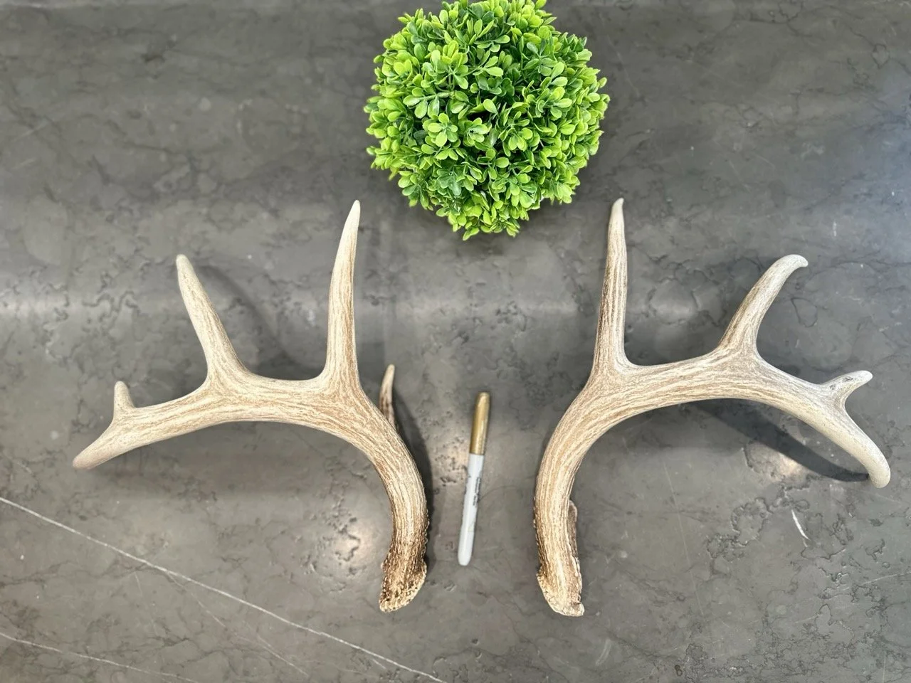 IMG_4343 2 Large.jpeg