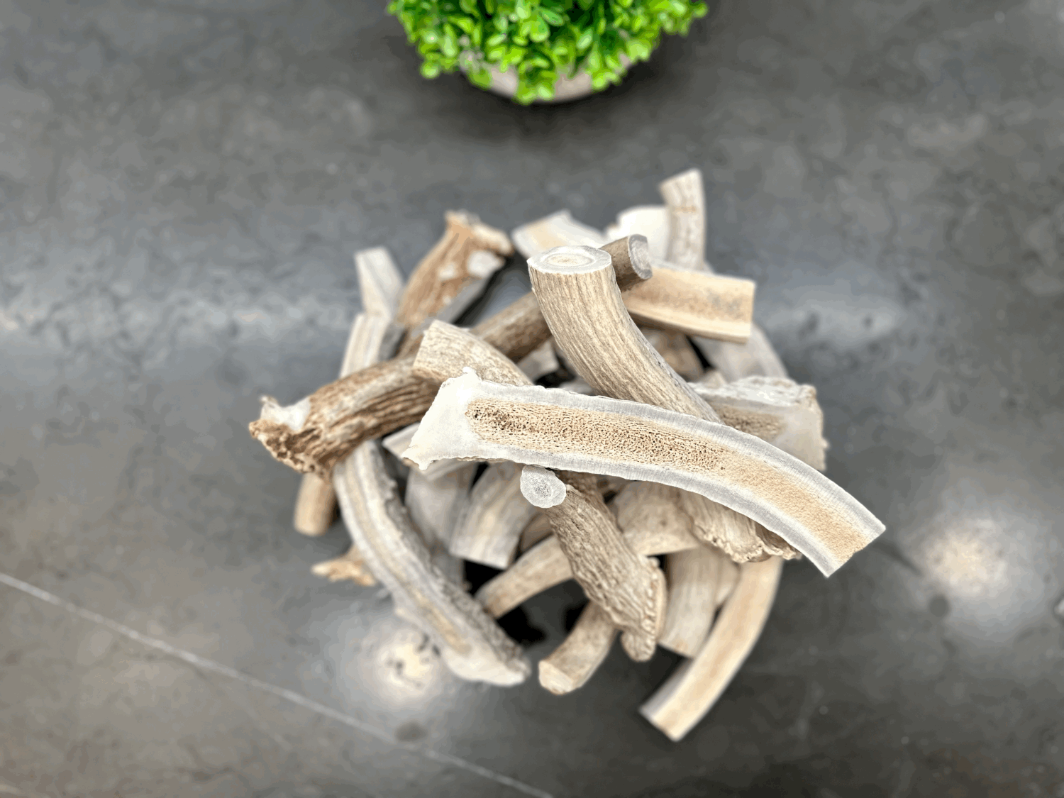 Split Deer Antlers for Dogs [6