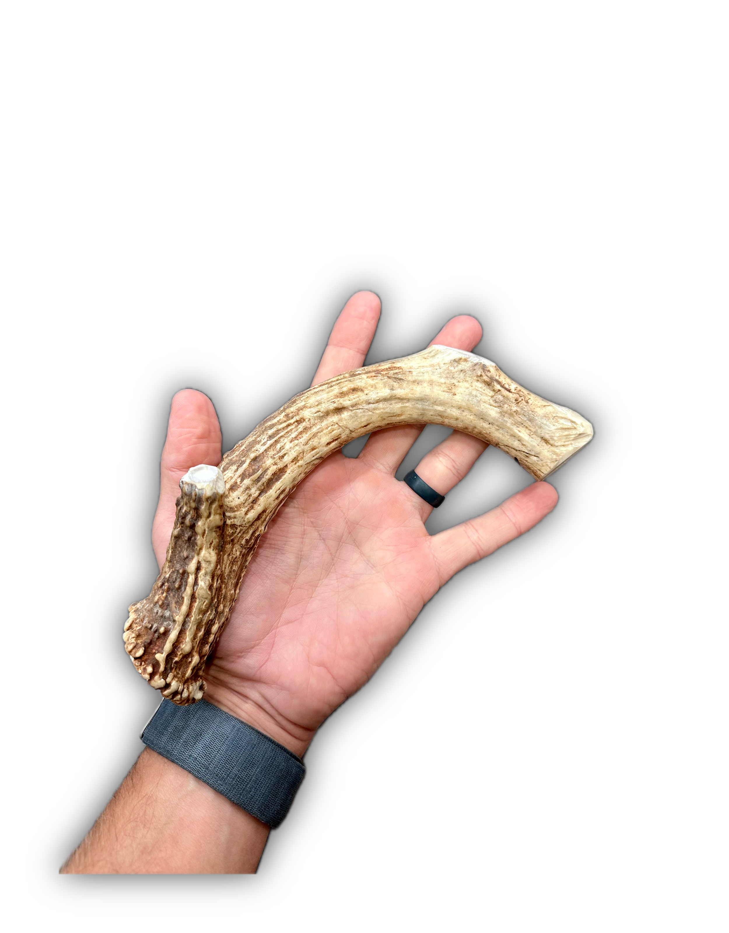 Deer Antler | Dog Chews | Custom Cut | Antler Base 11"