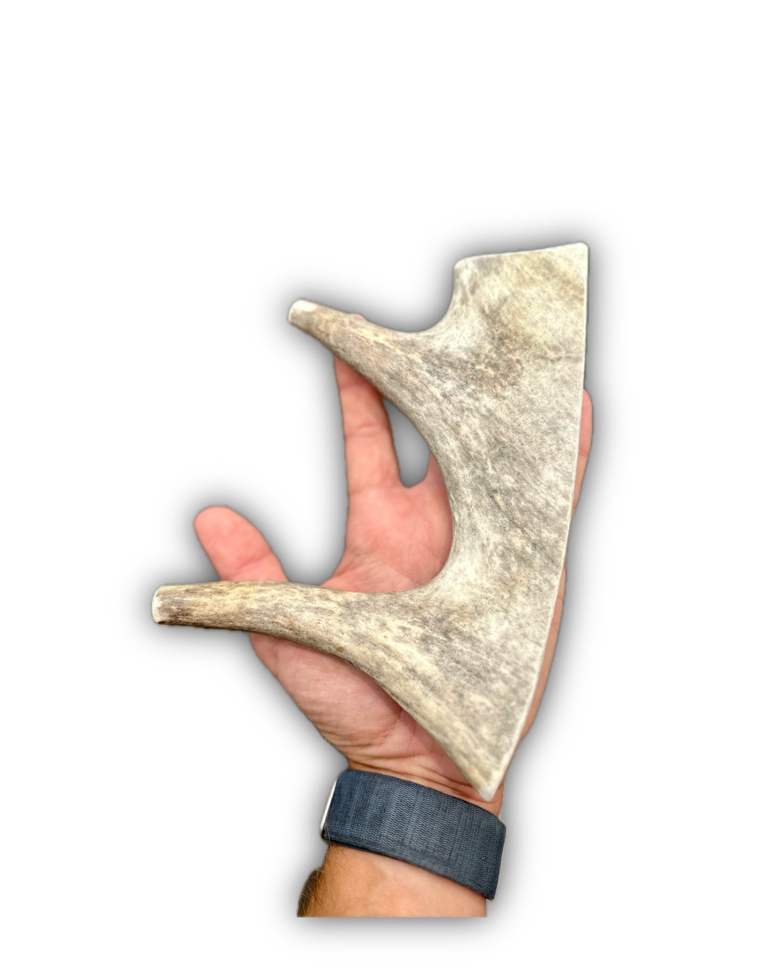 IMG_6937 Background Removed-shadow.png