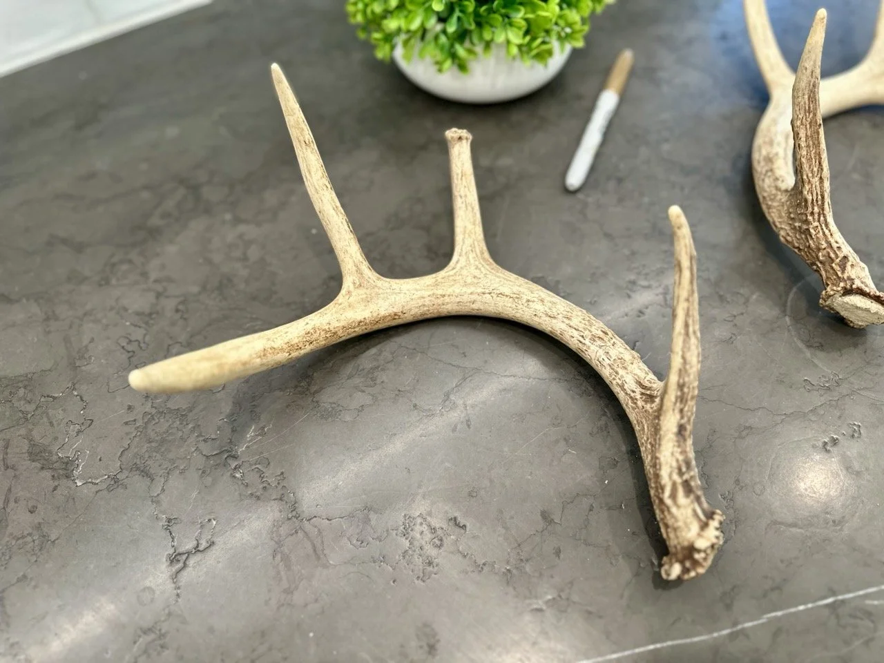 IMG_4362 2 Large.jpeg