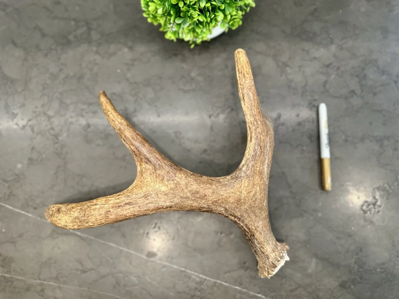 IMG_4413 2 Large.jpeg