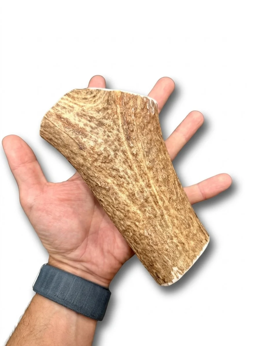 Elk Antler | Dog Chews | Custom Cut 7"