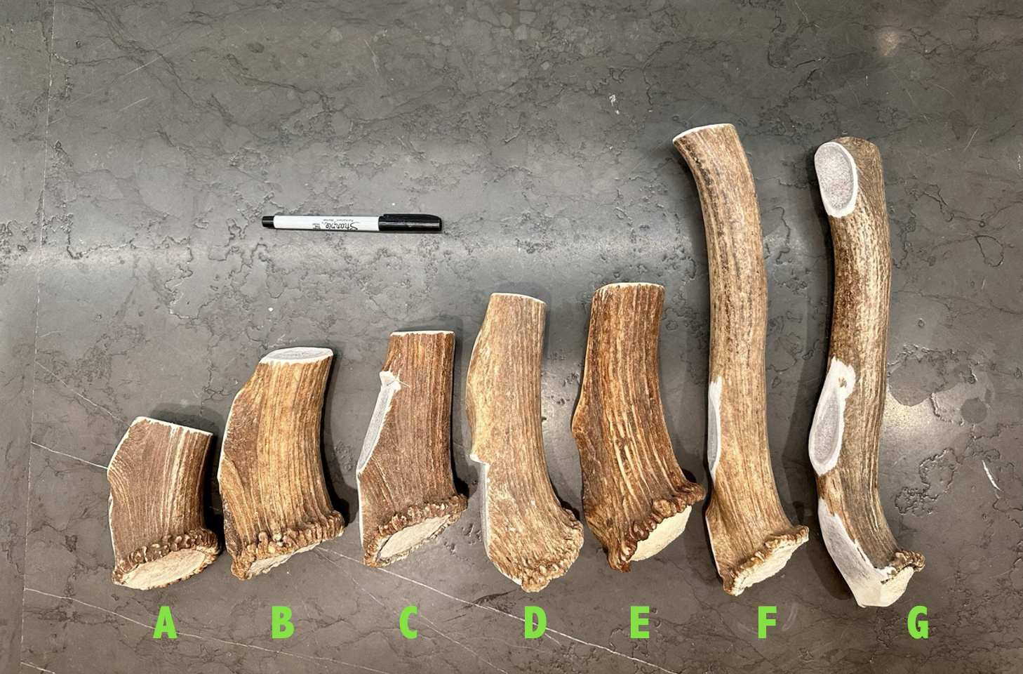 Screenshot 2026-01-06 at 1.32.28 PM.png