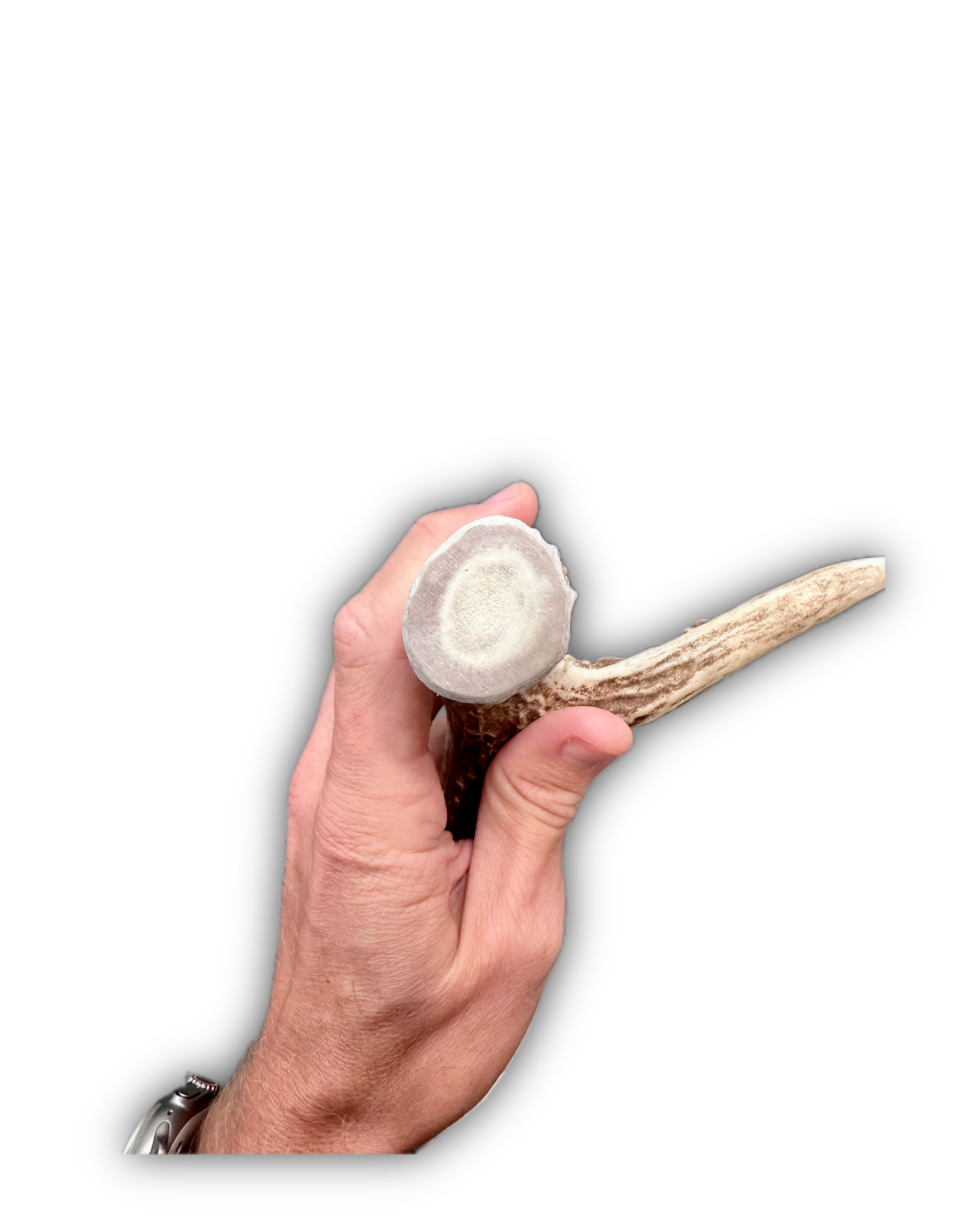 IMG_6985 Background Removed-shadow.png