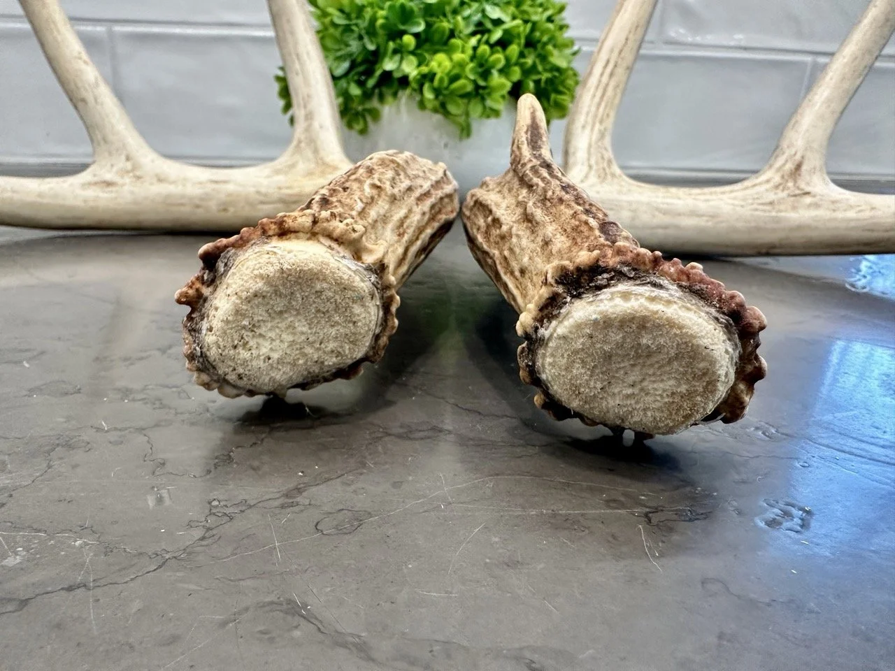 IMG_4352 2 Large.jpeg