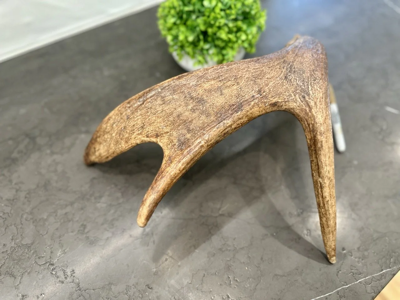 IMG_4422 2 Large.jpeg