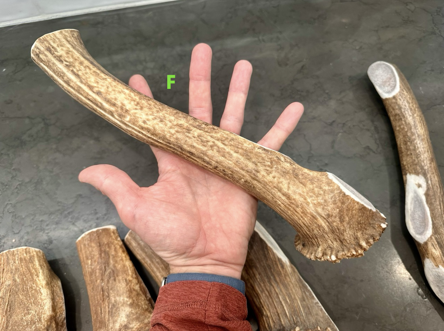 Screenshot 2026-01-06 at 1.33.19 PM.png