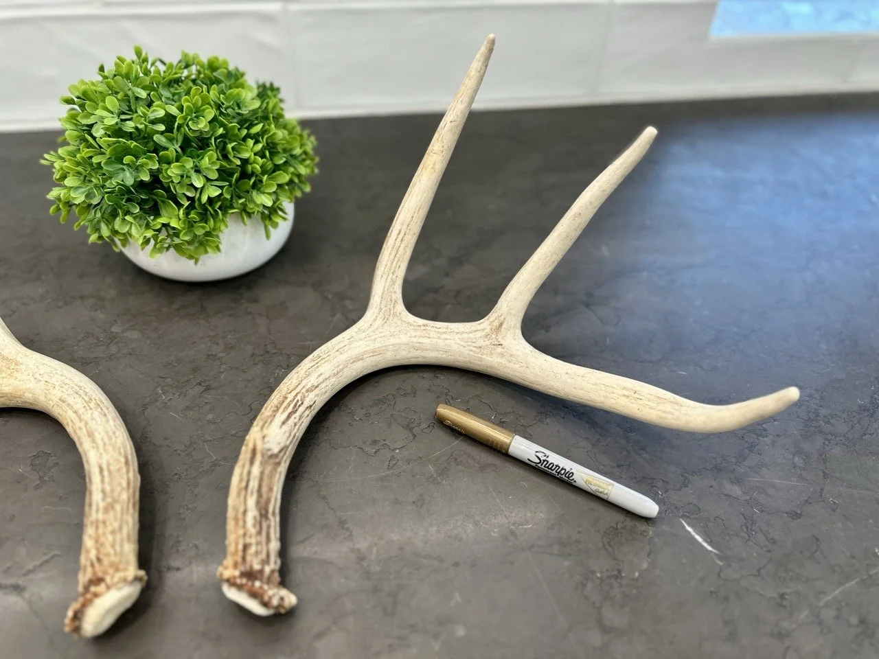 IMG_4349 2 Large.jpeg