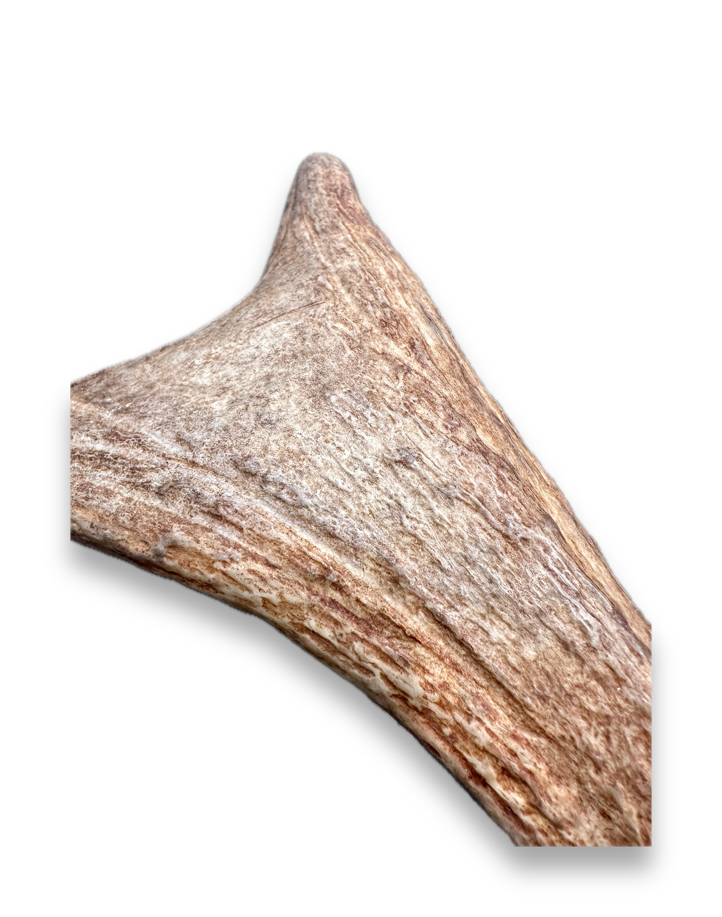 IMG_7291 Background Removed-shadow.png