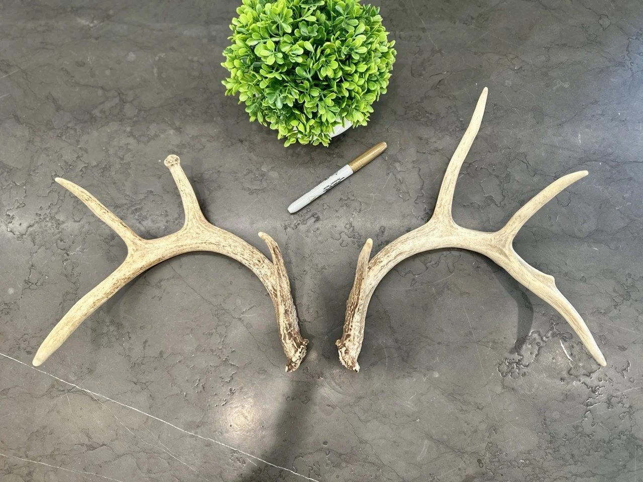 IMG_4361 2 Large.jpeg