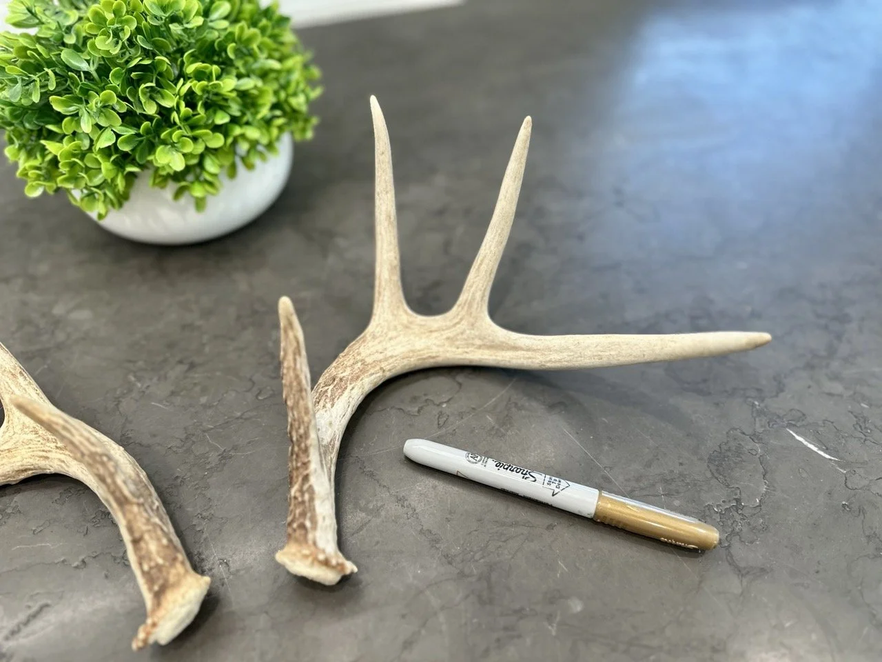 IMG_4387 2 Large.jpeg