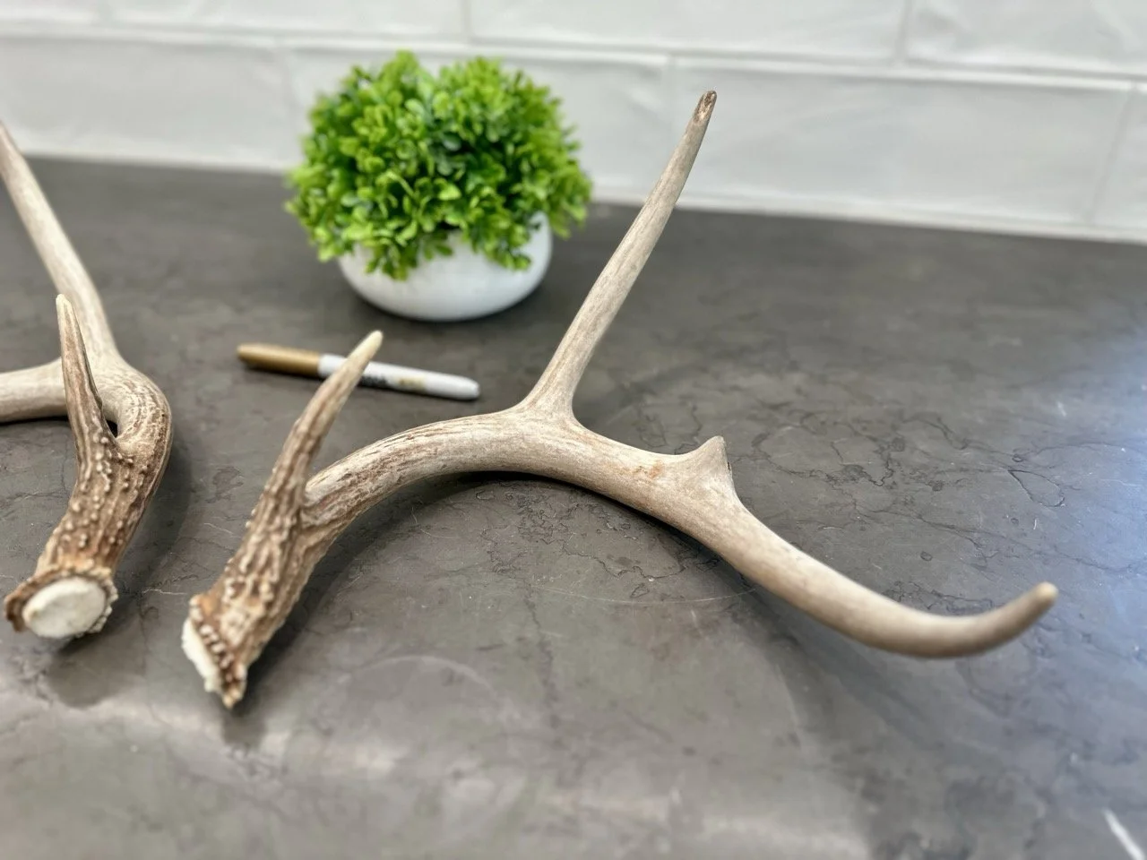 IMG_4408 2 Large.jpeg