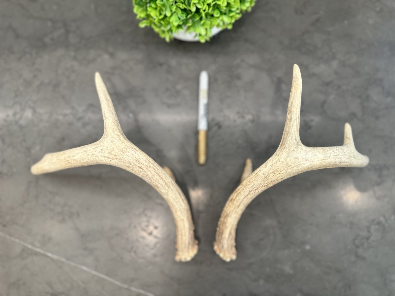 IMG_4396 2 Large.jpeg