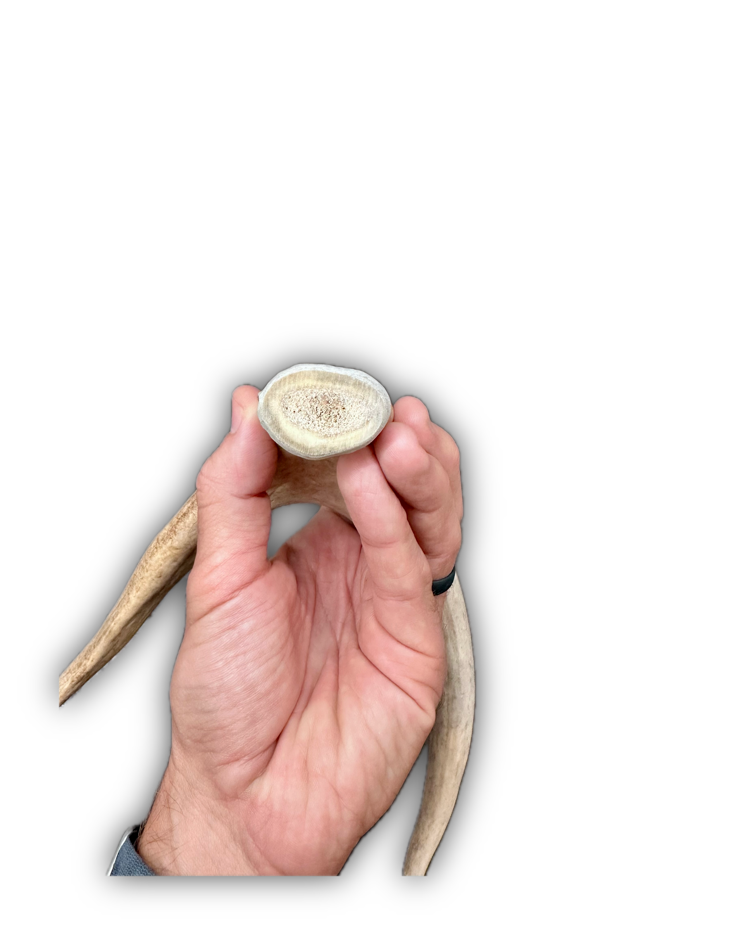 IMG_7036 Background Removed-shadow.png