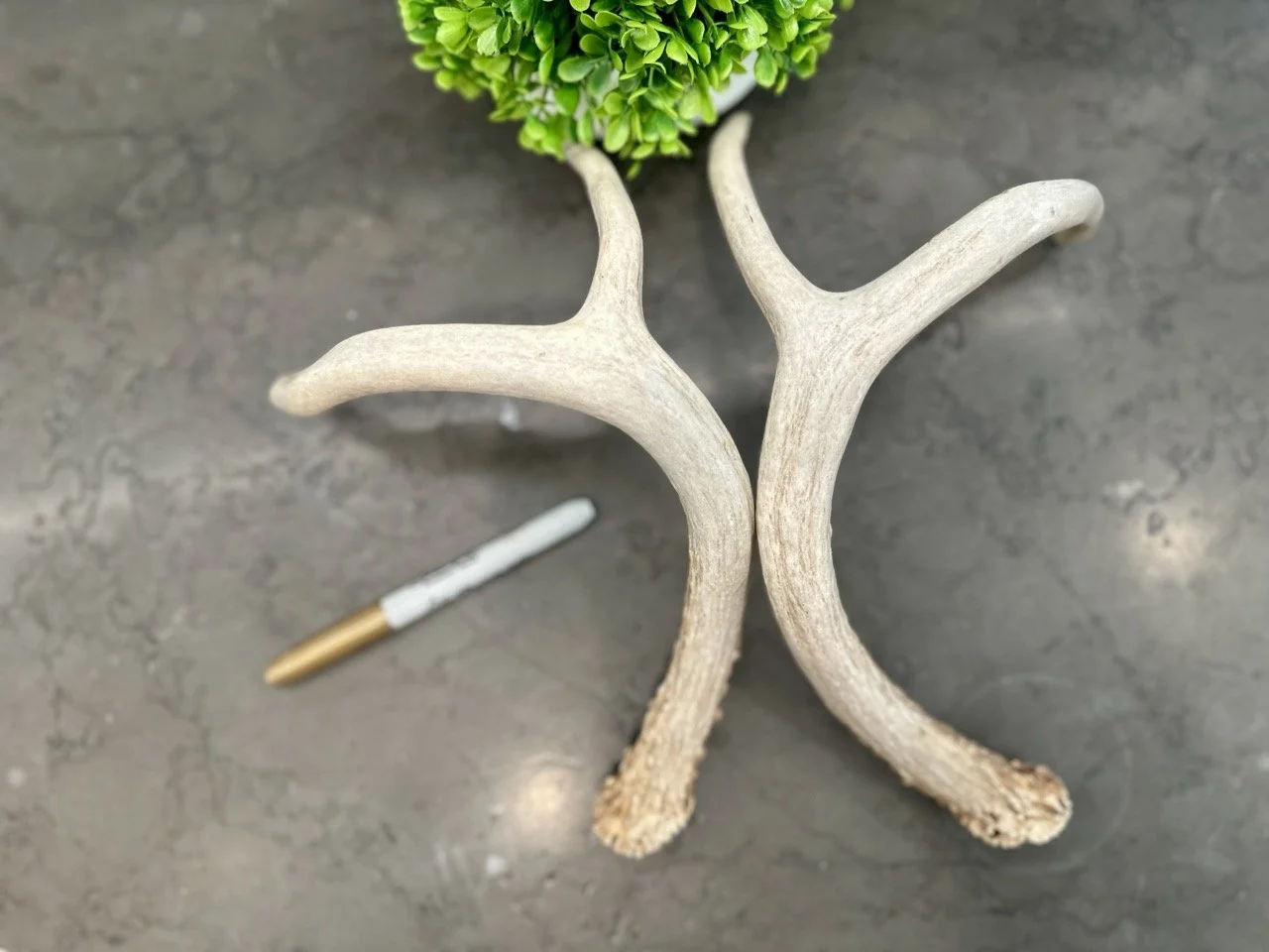 IMG_4403 2 Large.jpeg