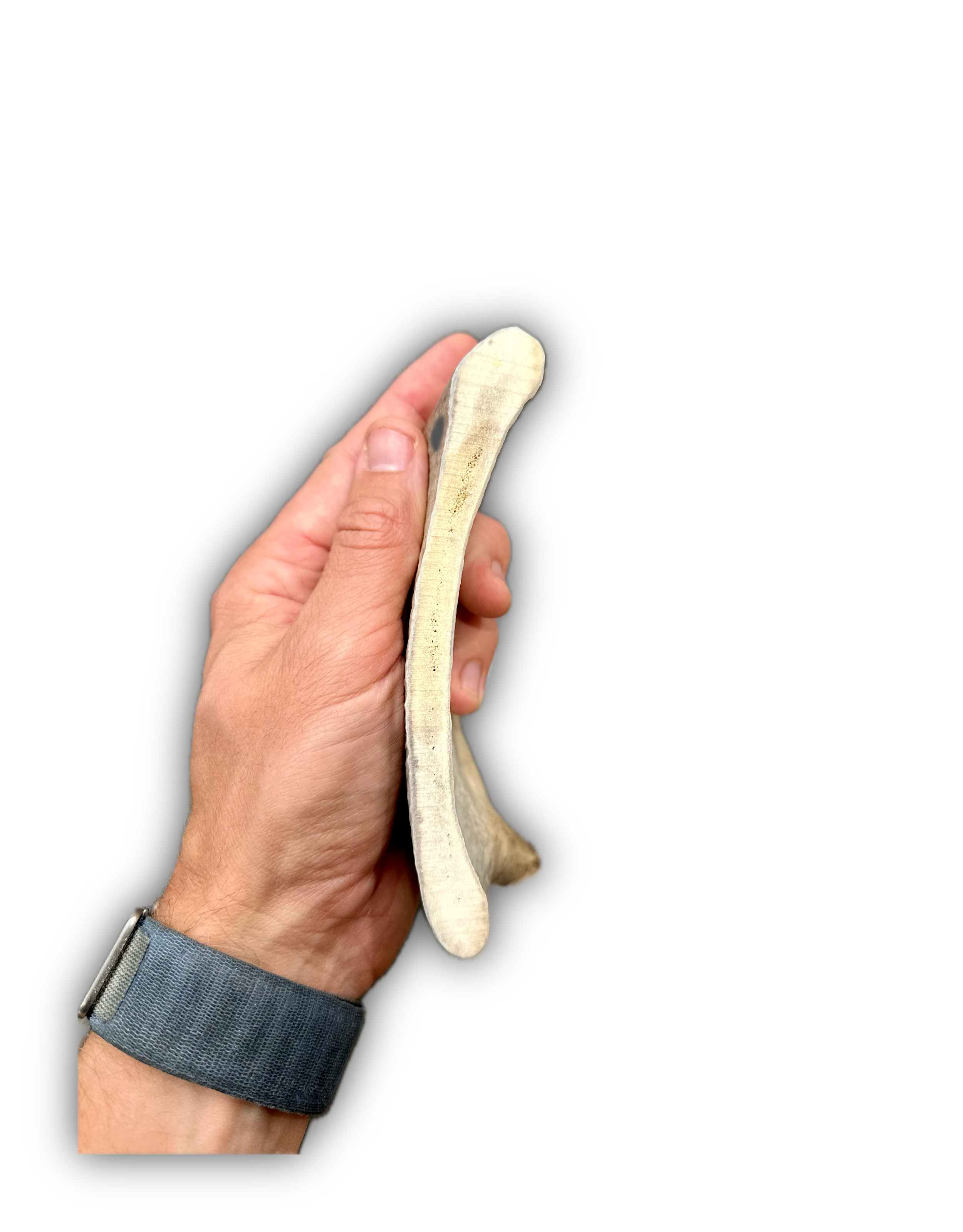 IMG_6900 Background Removed-shadow.png