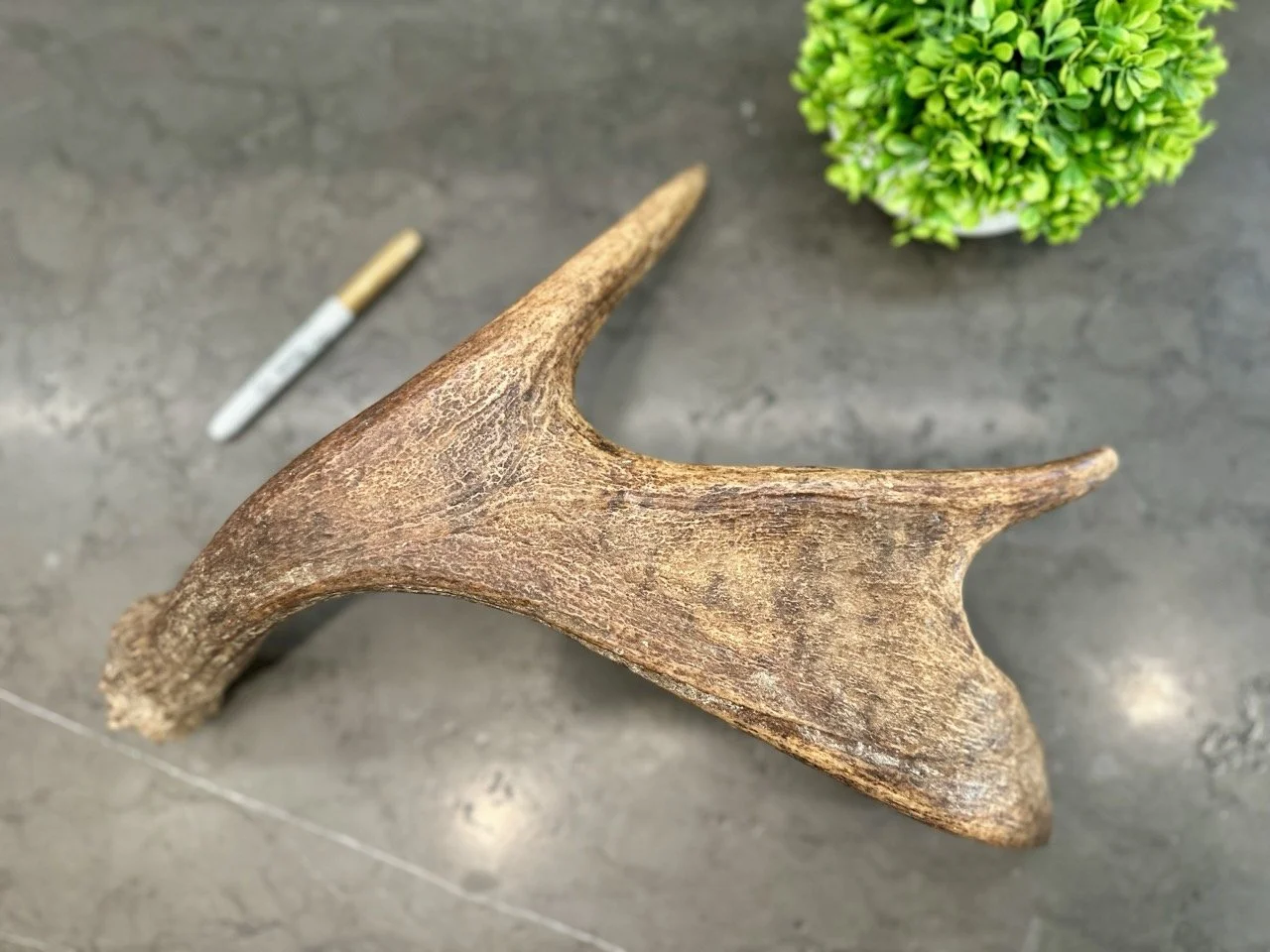 IMG_4421 2 Large.jpeg