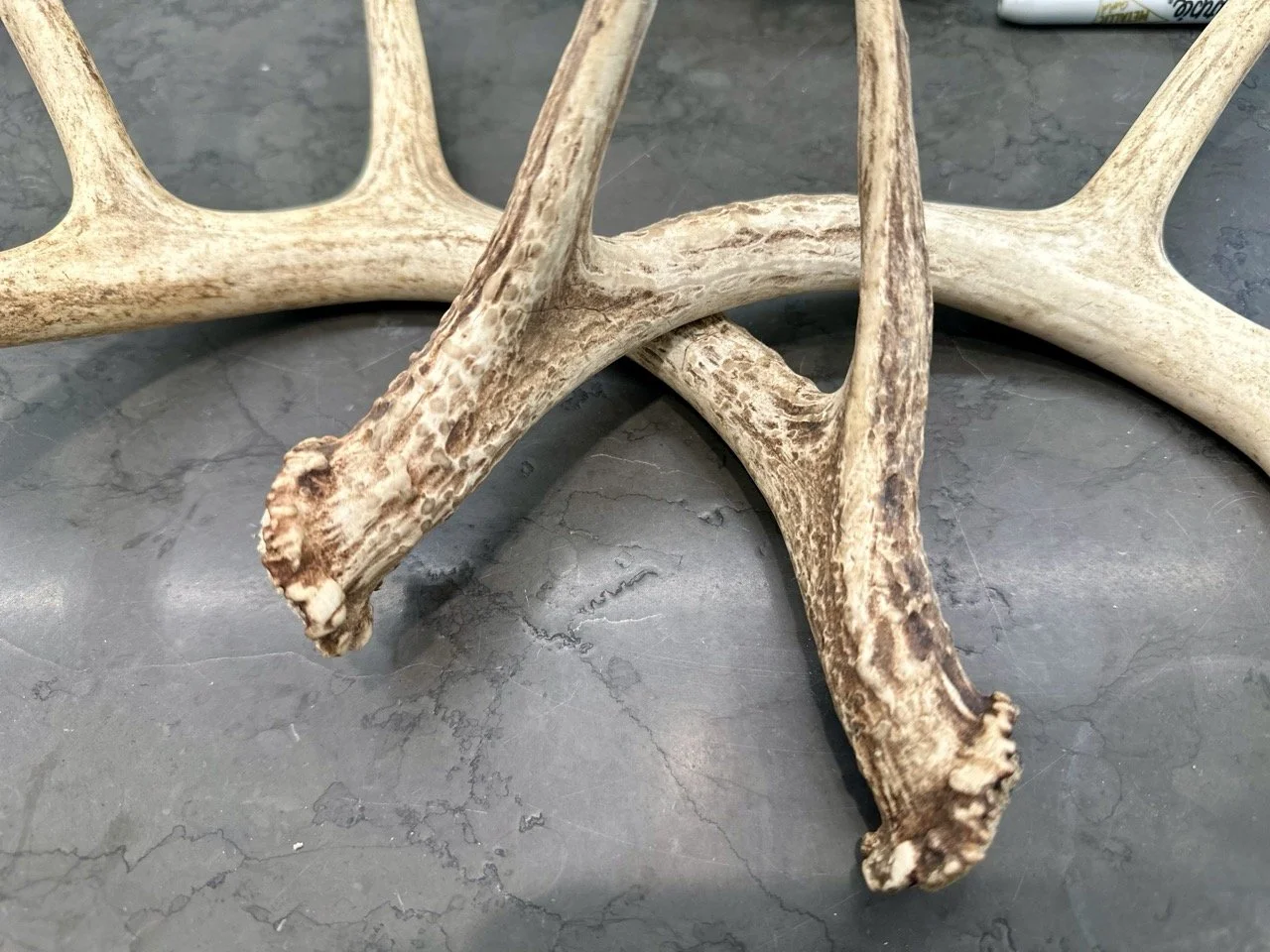 IMG_4365 2 Large.jpeg