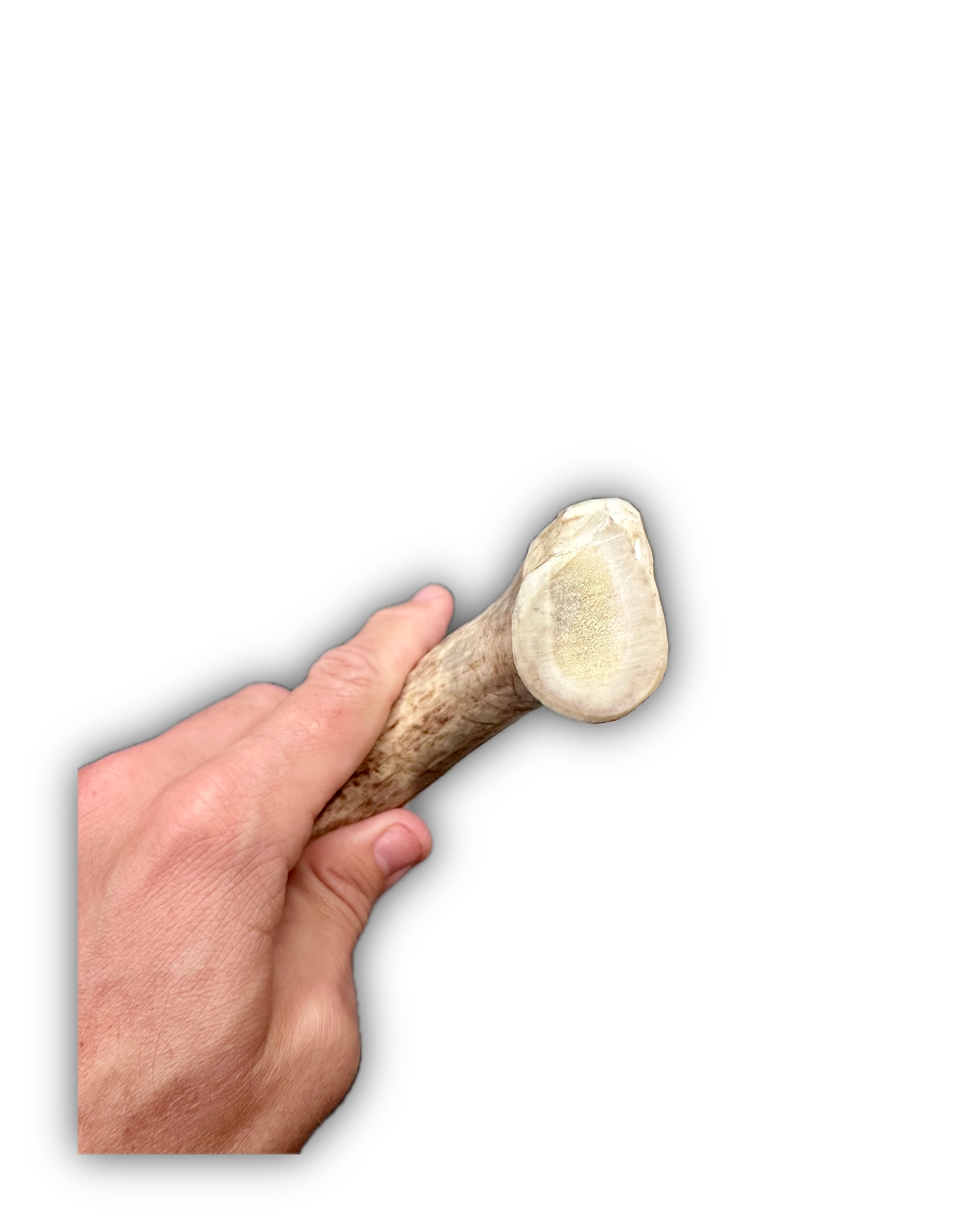IMG_6982 Background Removed-shadow.png