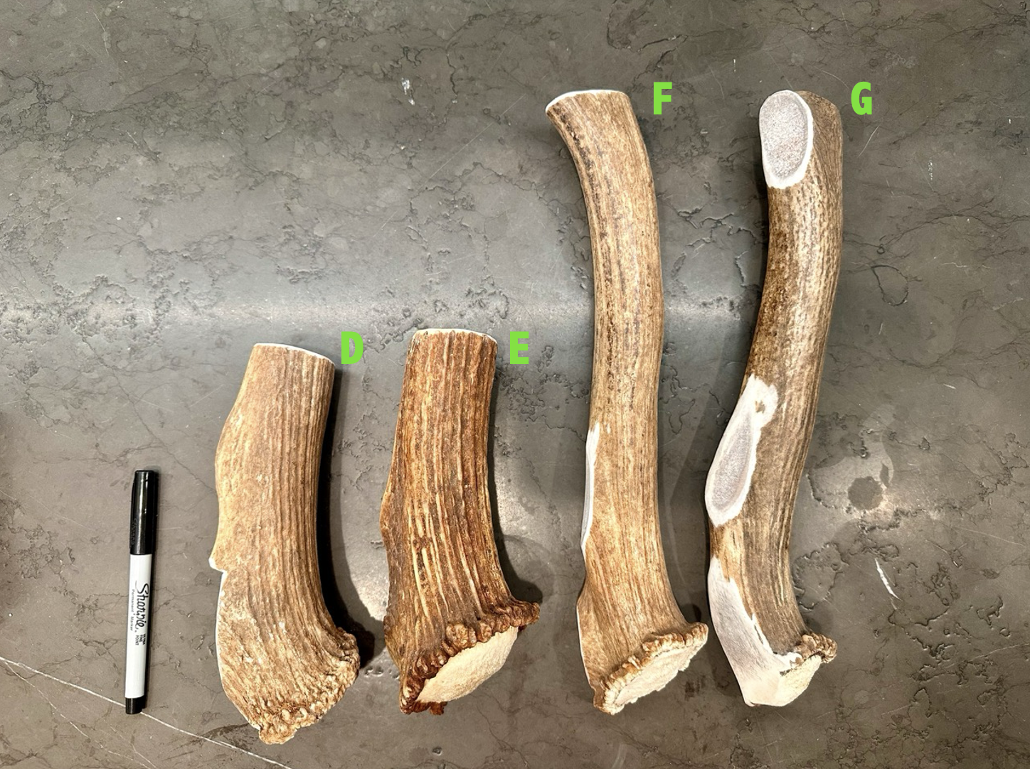 Screenshot 2026-01-06 at 1.33.45 PM.png