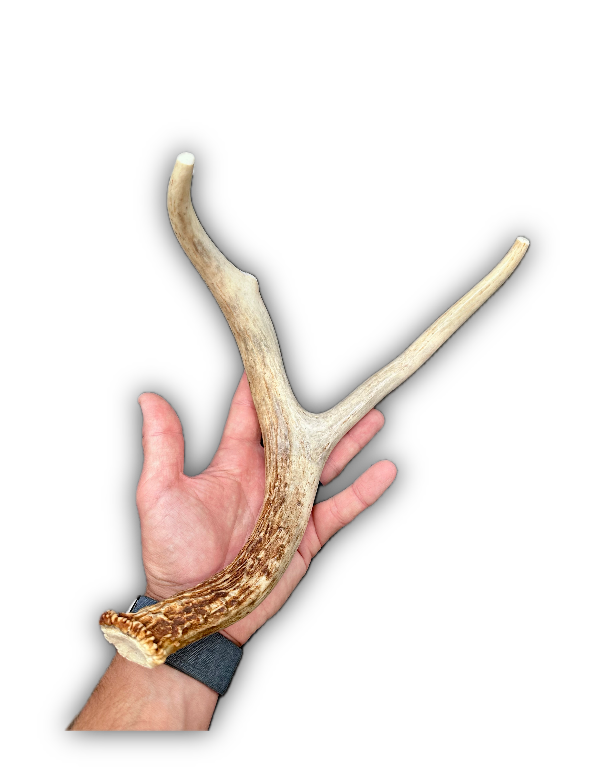 IMG_7011 Background Removed-shadow.png