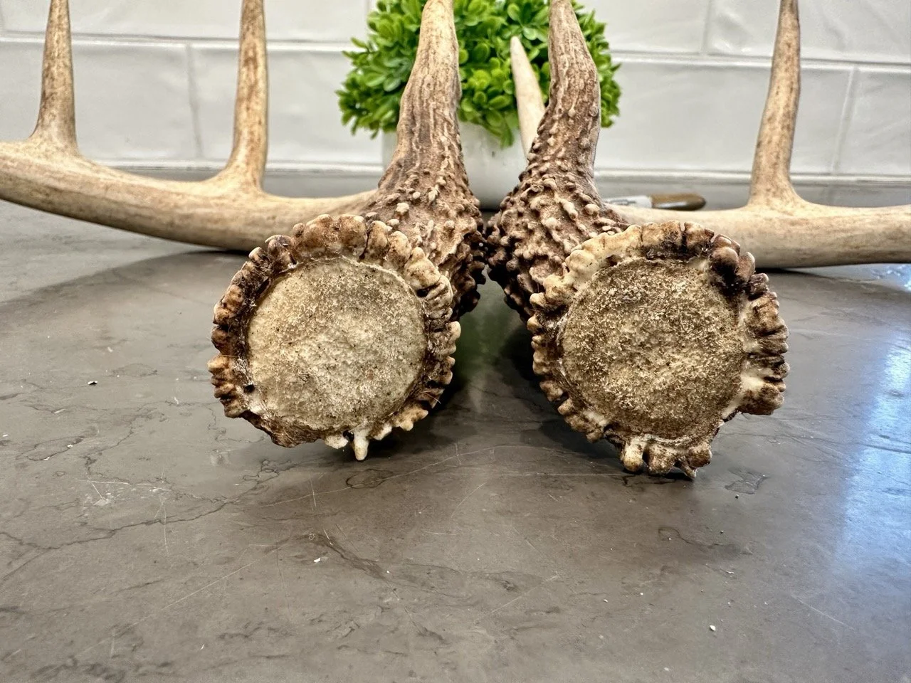 IMG_4359 2 Large.jpeg