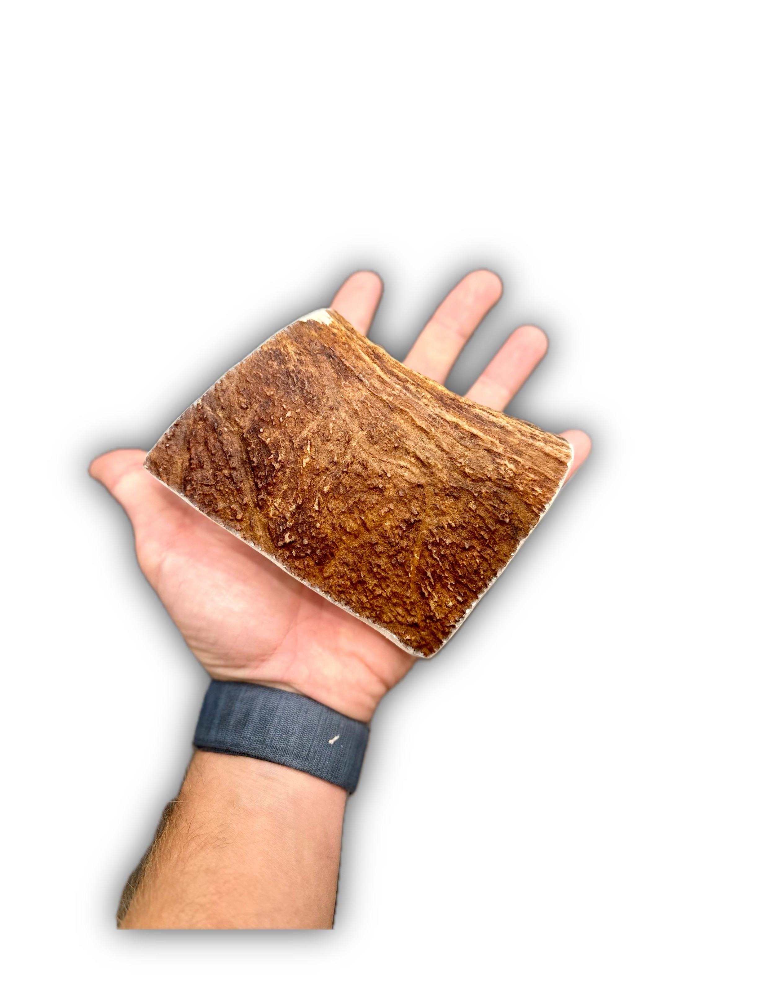 IMG_6922 Background Removed-shadow.png