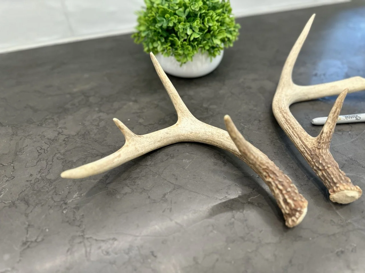 IMG_4394 2 Large.jpeg