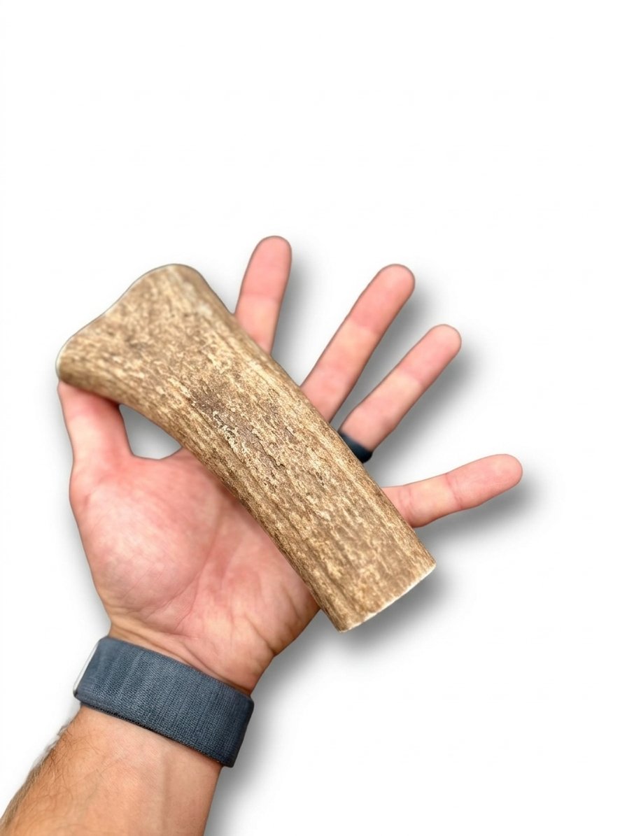 Elk Antler | Dog Chews | Custom Cut 6.5"