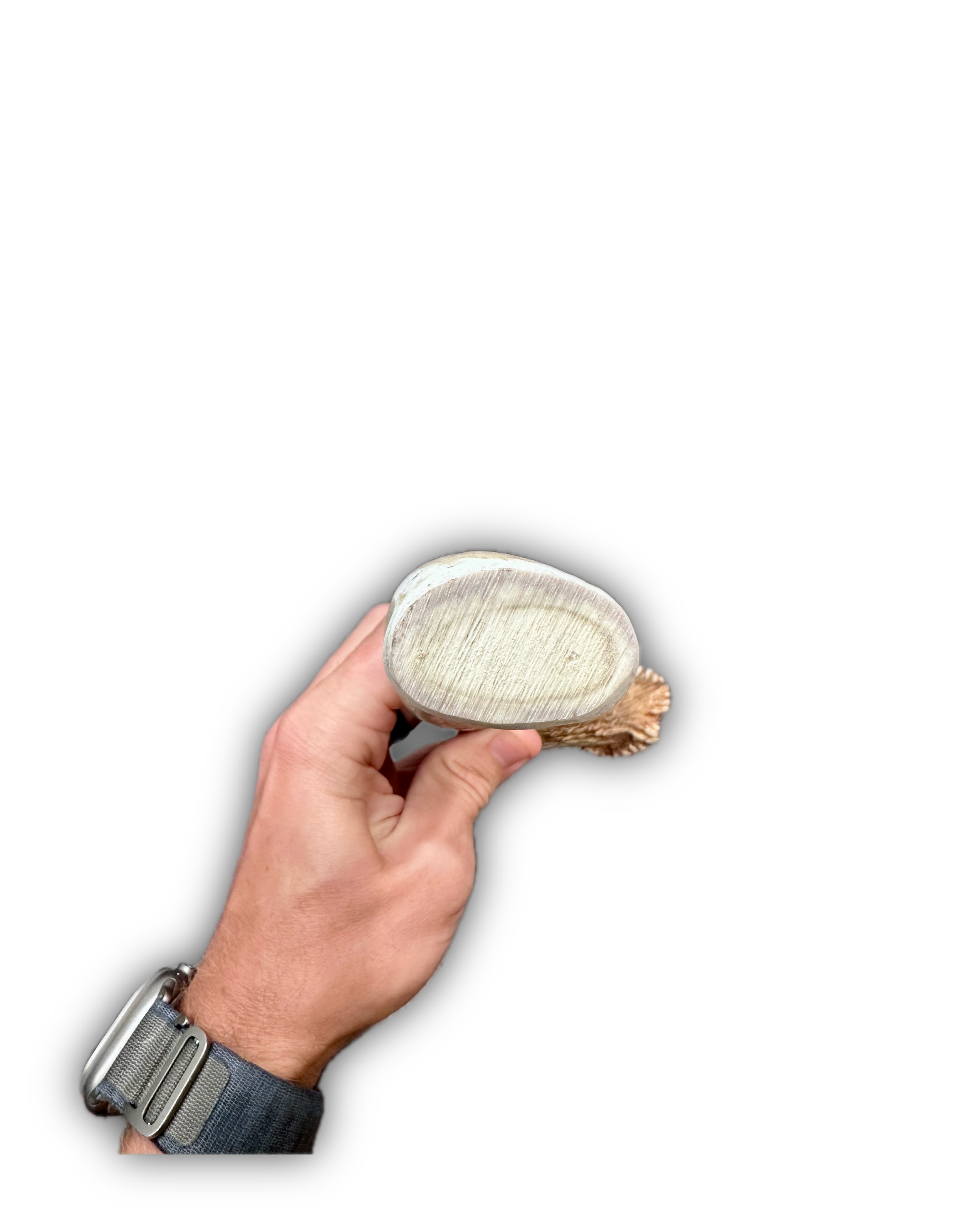 IMG_6967 Background Removed-shadow.png