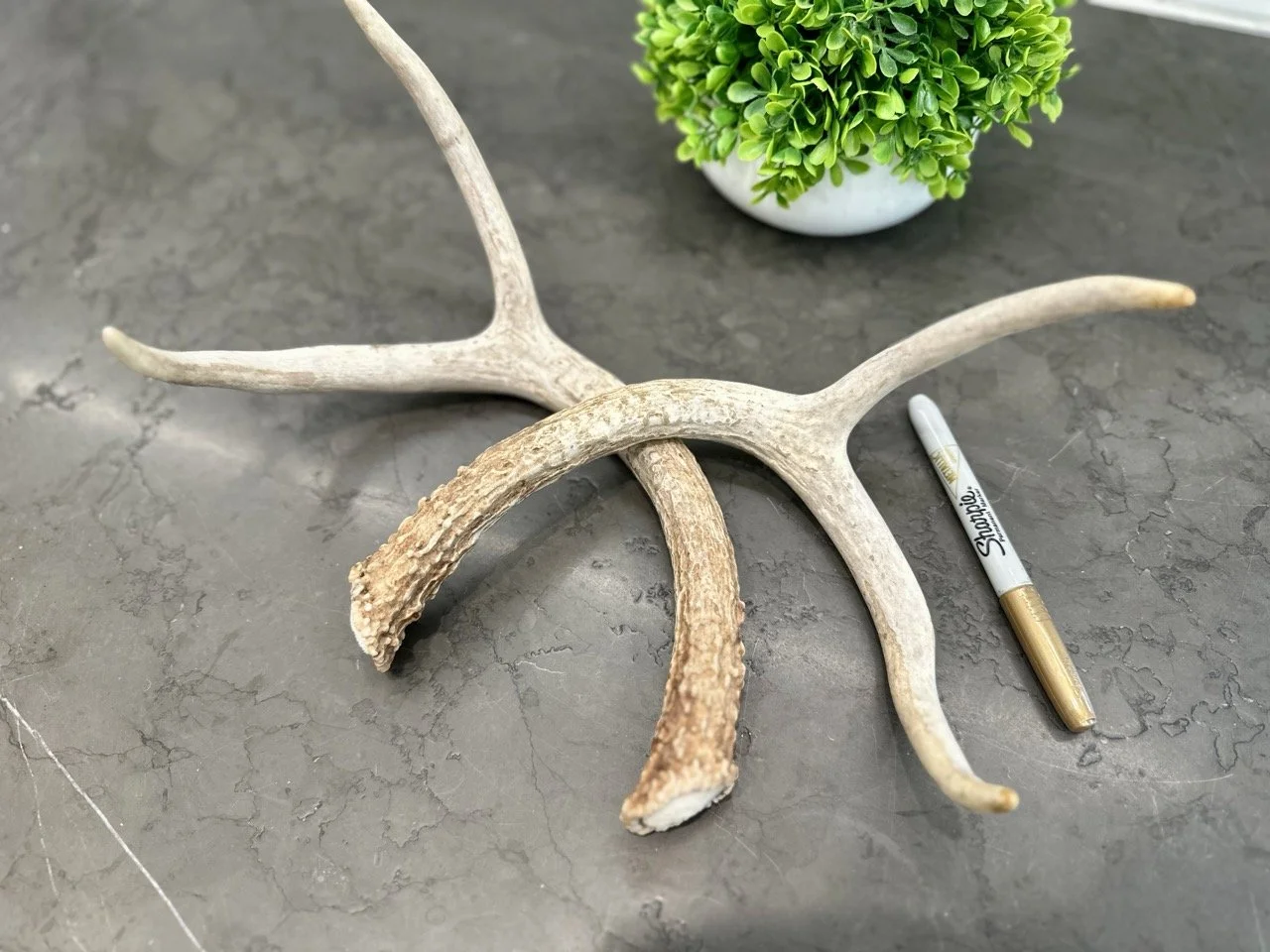 IMG_4402 2 Large.jpeg