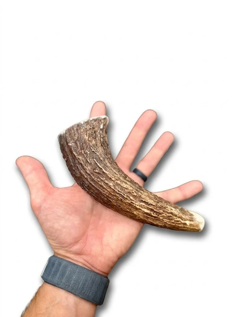 1a0a8576-ad9b-4a12-b409-1c92cffaf957.jpeg
