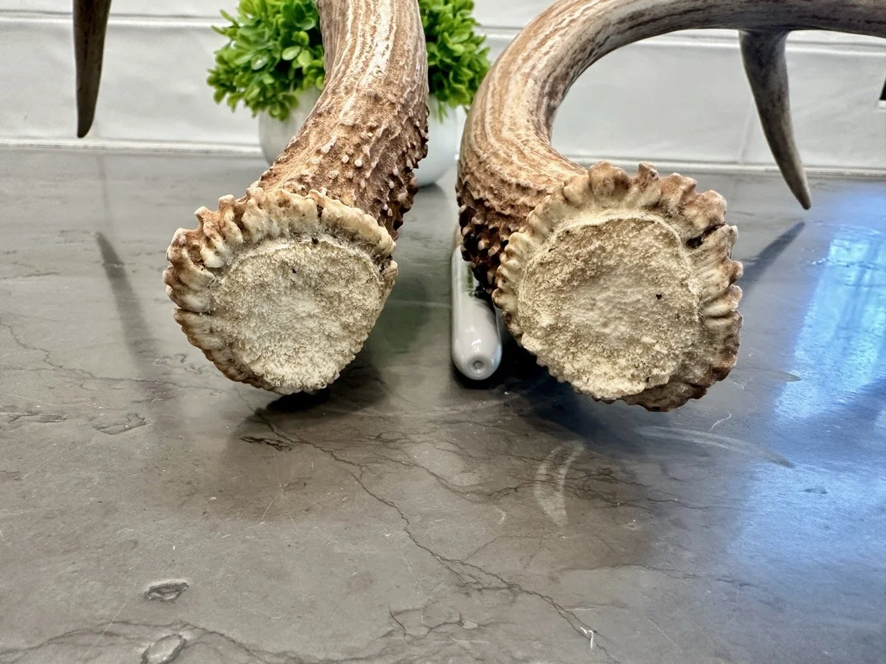 IMG_4344 2 Large.jpeg