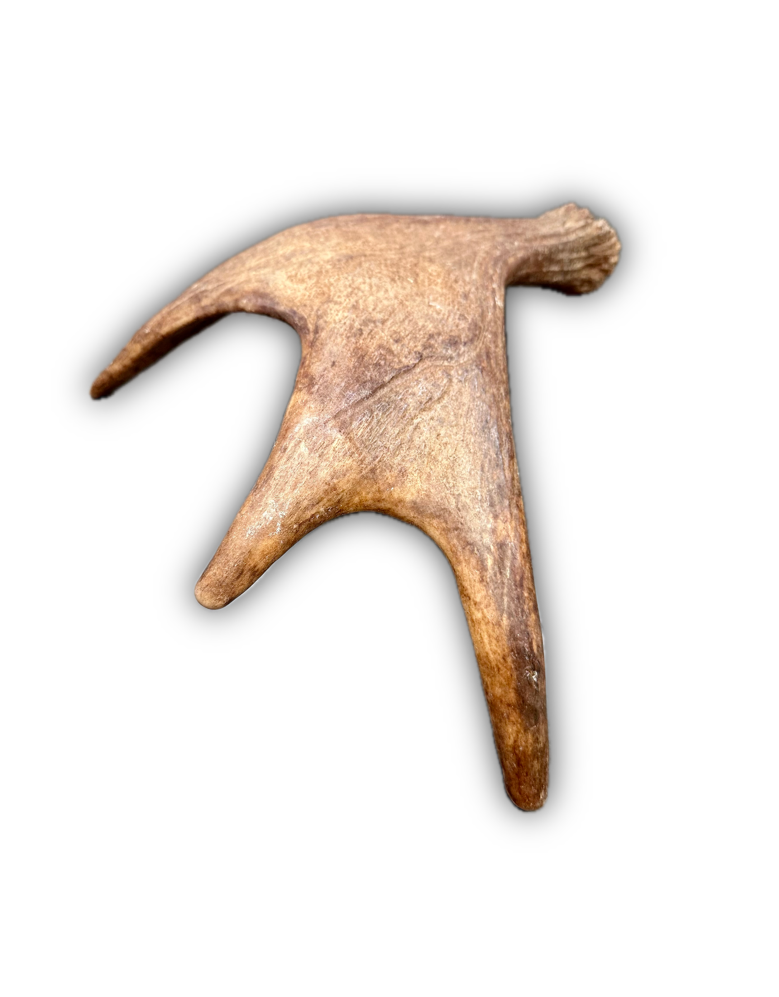 IMG_7203 Background Removed-shadow.png