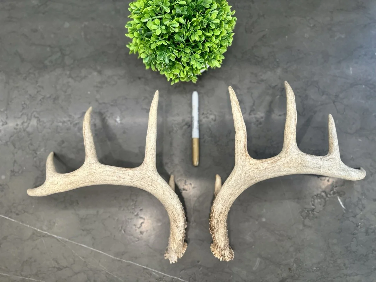 IMG_4357 2 Large.jpeg