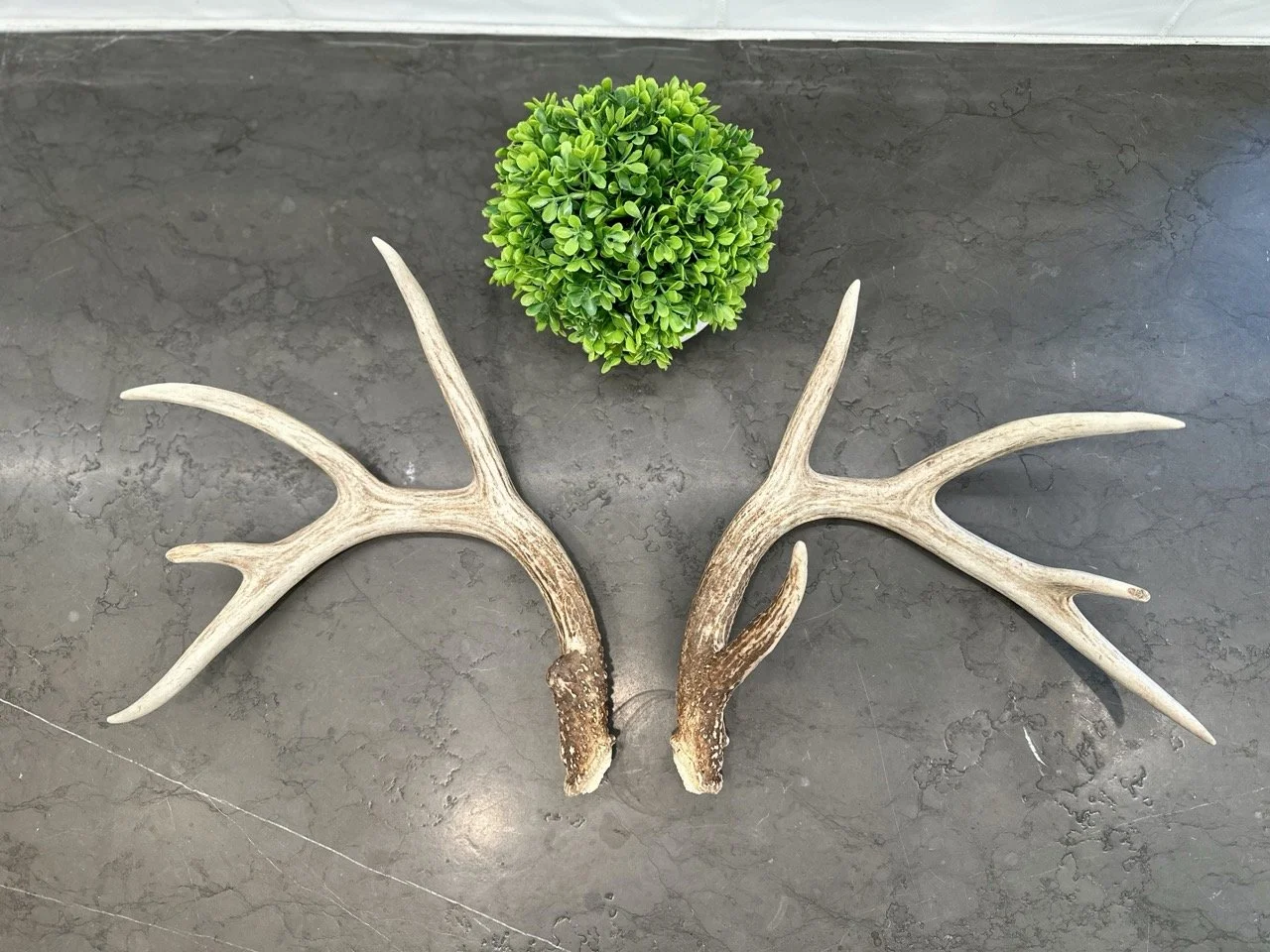 IMG_4340 2 Large.jpeg