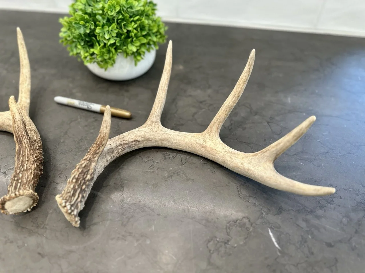 IMG_4356 2 Large.jpeg