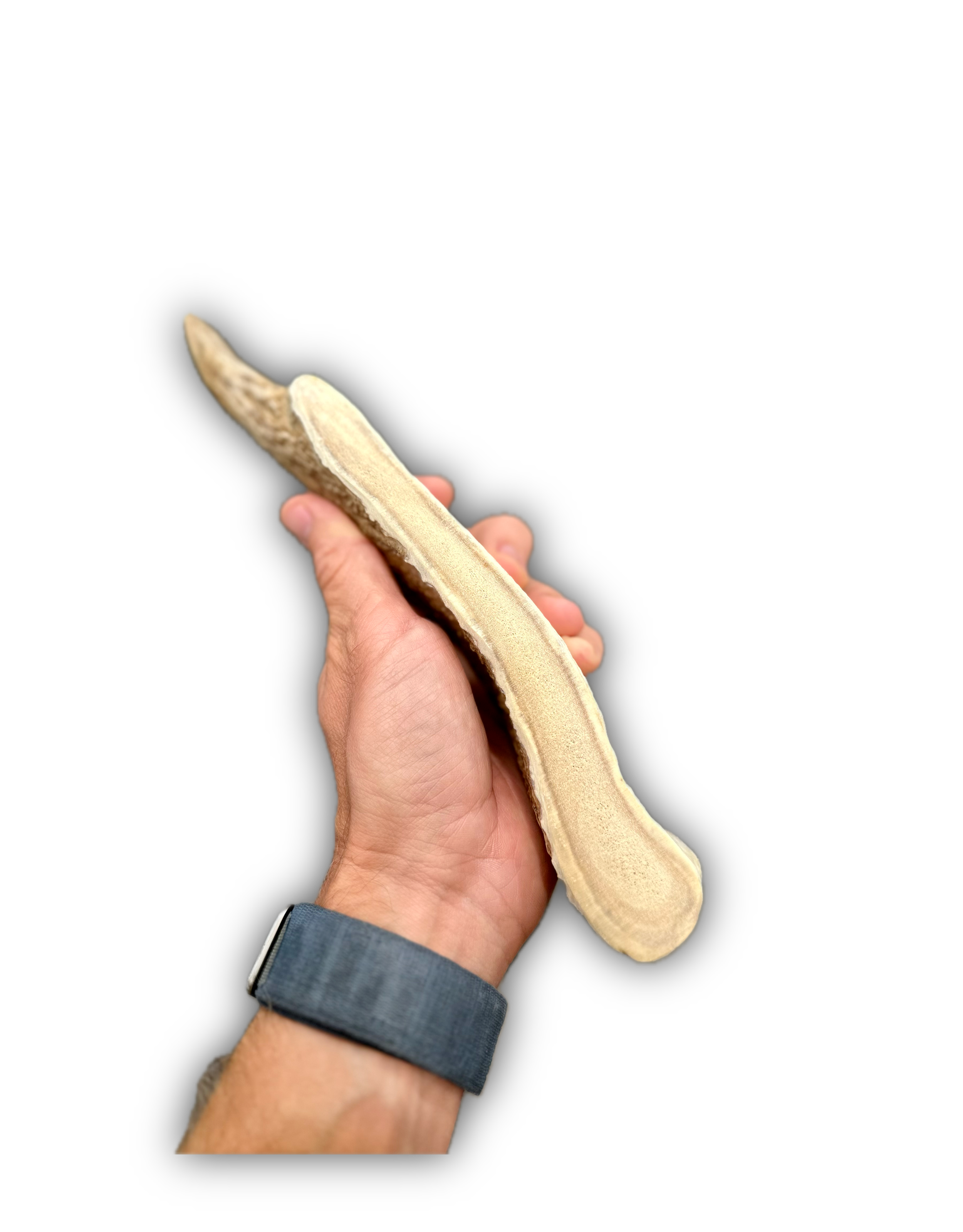 IMG_6927 Background Removed-shadow.png