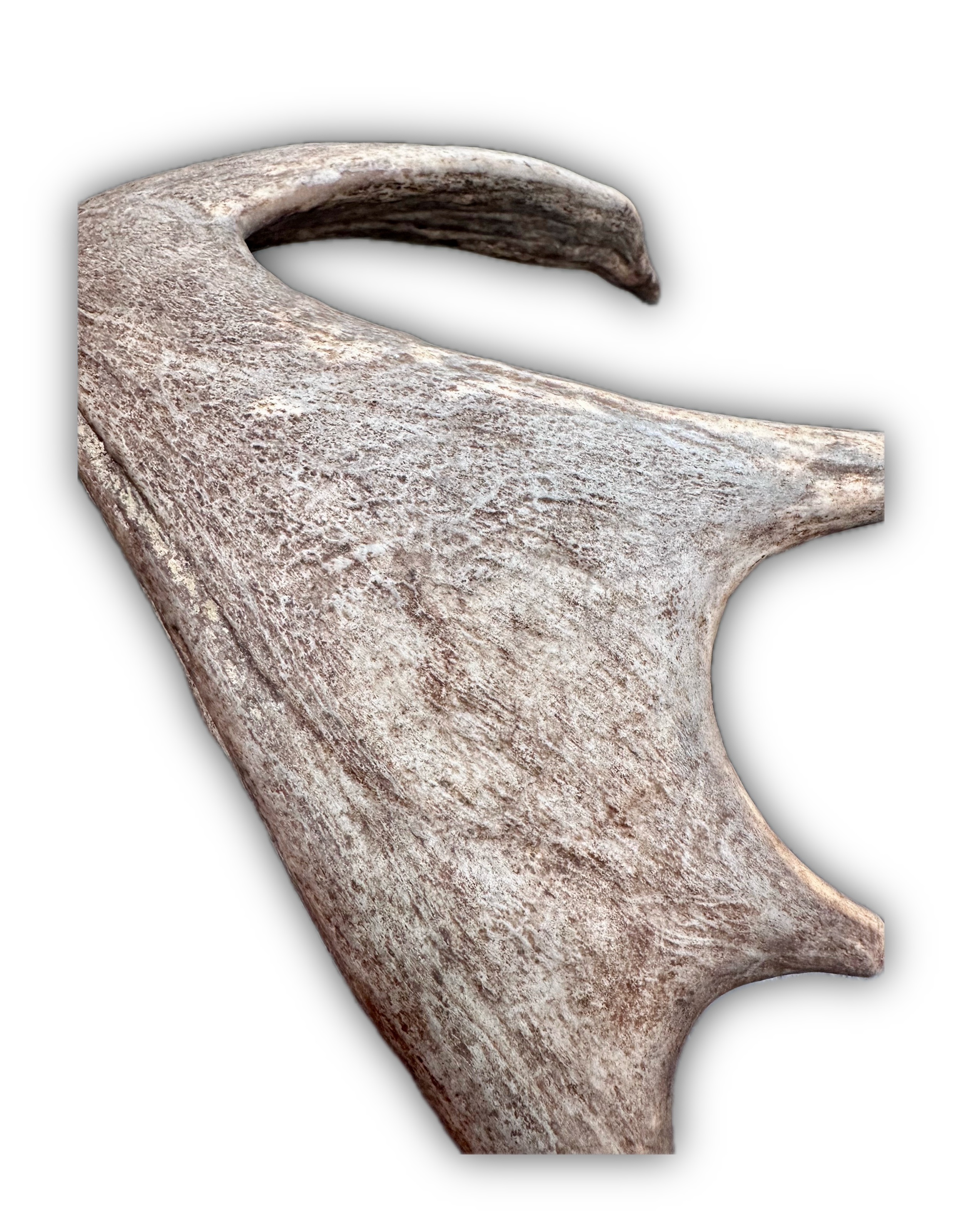 IMG_7214 Background Removed-shadow.png