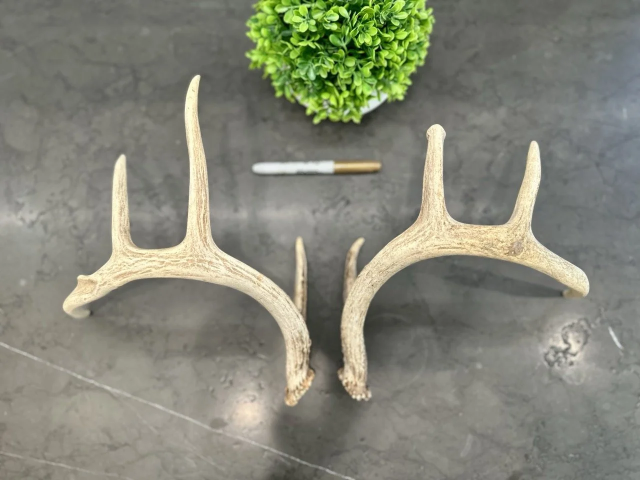 IMG_4366 2 Large.jpeg