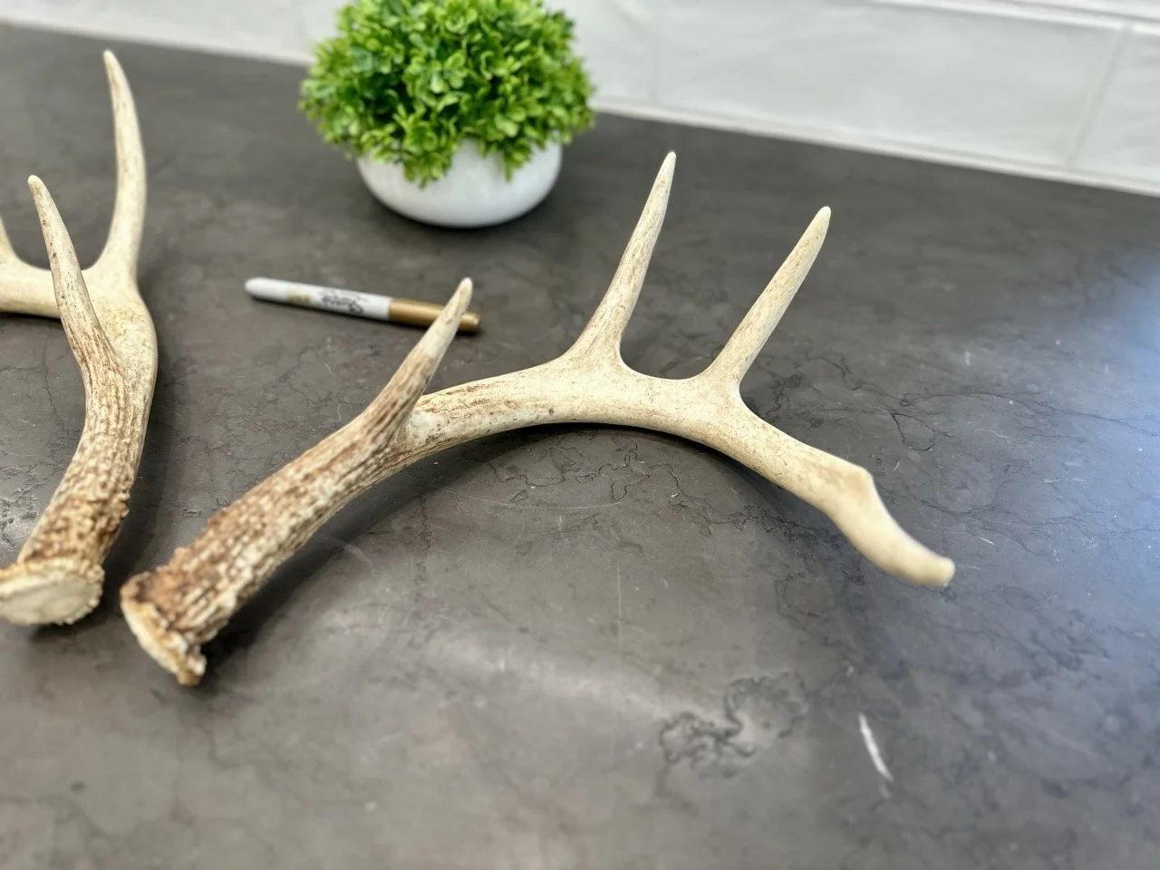 IMG_4379 2 Large.jpeg