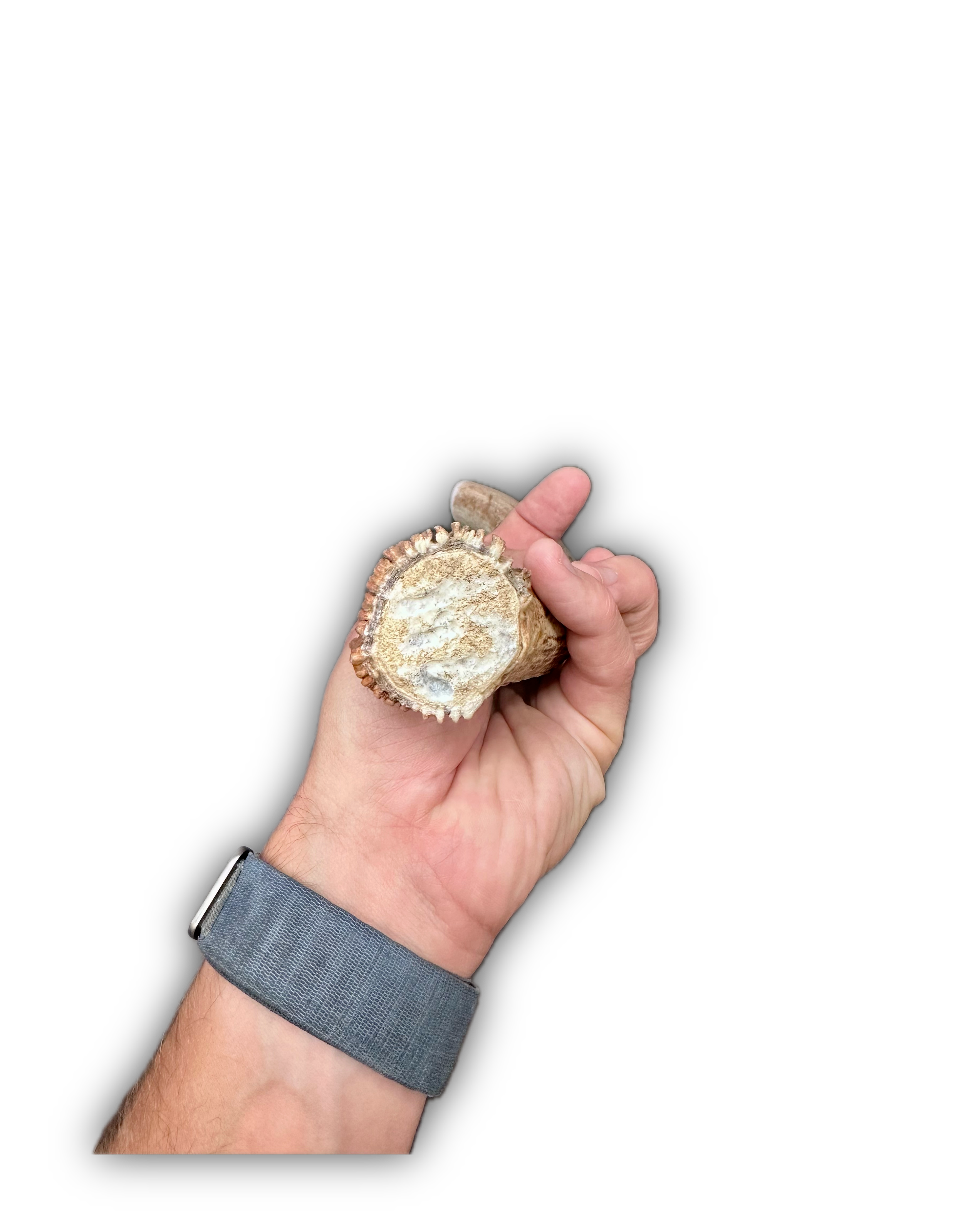 IMG_7021 Background Removed-shadow.png