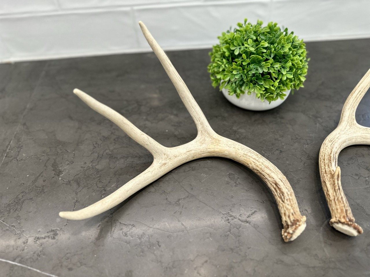 IMG_4348 2 Large.jpeg